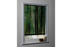 4ft Trees Photograph Roller Blind - Green